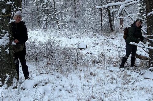 Ashley and Marilynn of Ashtree Wildcrafting