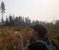 Ashley blowing fireweed seeds summer 2026
