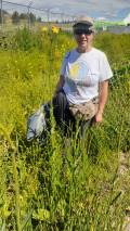 Marilynn with sow's thistle 2024