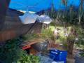 May 2025 view of our drying shelter
